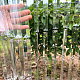 photo-2985945