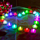 photo-2932147